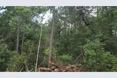 Lot 3 Scarlet Oak Drive, Plantersville, TX 77363 - Photo 14