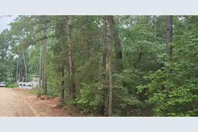 Lot 3 Scarlet Oak Drive, Plantersville, TX 77363 - Photo 4