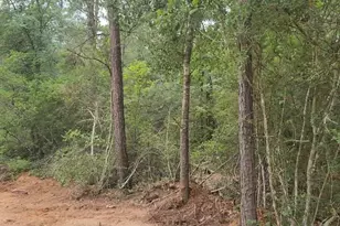 Lot 3 Scarlet Oak Dr, Plantersville, TX 77363 - Photo 1