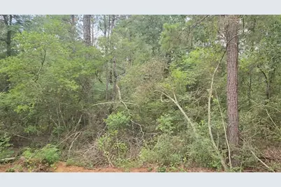 Lot 3 Scarlet Oak Drive, Plantersville, TX 77363 - Photo 8