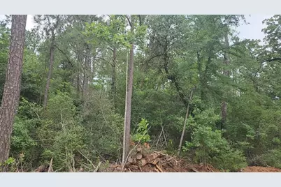 Lot 3 Scarlet Oak Drive, Plantersville, TX 77363 - Photo 18