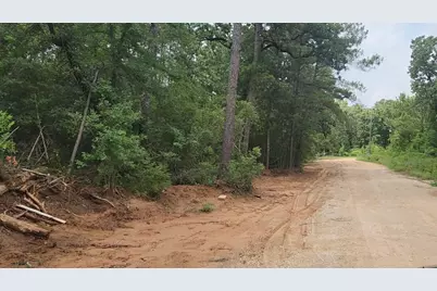Lot 3 Scarlet Oak Drive, Plantersville, TX 77363 - Photo 16
