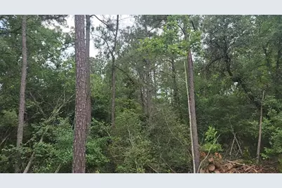 Lot 3 Scarlet Oak Drive, Plantersville, TX 77363 - Photo 20
