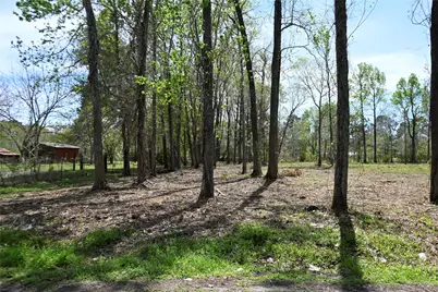 Lot 6 County Road 2360, Hardin, TX 77575 - Photo 4