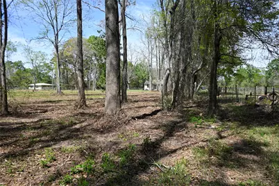 Lot 6 County Road 2360, Hardin, TX 77575 - Photo 6