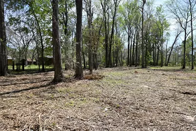Lot 6 County Road 2360, Hardin, TX 77575 - Photo 2