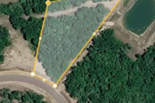 000 Lot 29 Winding Branch, Chappell Hill, TX 77426 - Photo 1