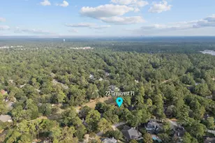 22 Greycrest Pl, The Woodlands, TX 77382 - Photo 50