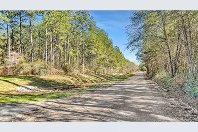 10999 Ruger Road, Willis, TX 77378 - Photo 6