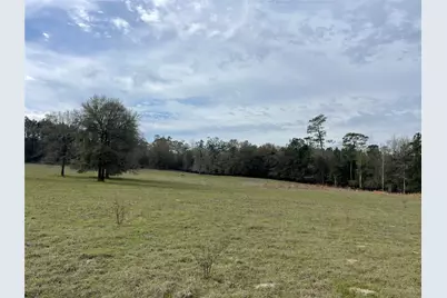 0000 County Road 1205, Hillister, TX 77624 - Photo 6