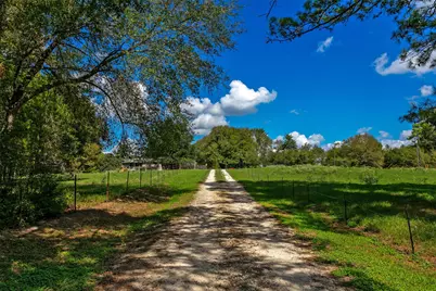8119 Cr 209, Plantersville, TX 77363 - Photo 6