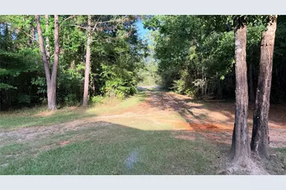 14074 State Highway 146 S, Livingston, TX 77351 - Photo 6