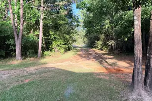 14074 State Hwy 146 S, Livingston, TX 77351 - Photo 6