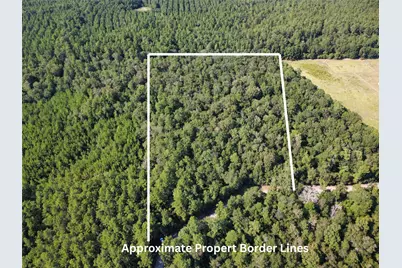 000 Post Oak Road, Kountze, TX 77625 - Photo 4