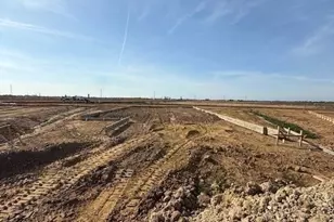 17403 Sage Run Dr, Waller, TX 77484 - Photo 2