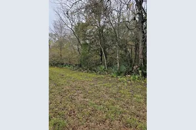 1070 County Road 136 / Live Oak, Van Vleck, TX 77482 - Photo 6