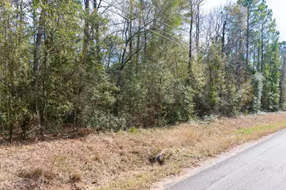 0 Forest Drive, Montgomery, TX 77356 - Photo 28