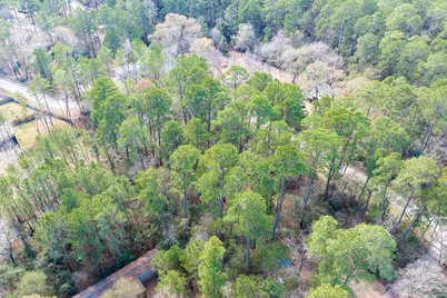 0 Forest Drive, Montgomery, TX 77356 - Photo 10