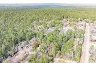 0 Forest Dr, Montgomery, TX 77356 - Photo 24