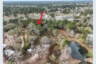 16010 Fm 3083 Road, Conroe, TX 77302 - Photo 8