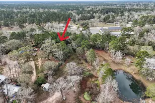 16010 Fm 3083 Rd, Conroe, TX 77302 - Photo 8
