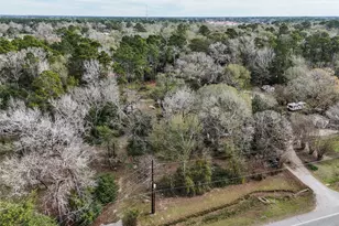 16010 Fm 3083 Rd, Conroe, TX 77302 - Photo 6
