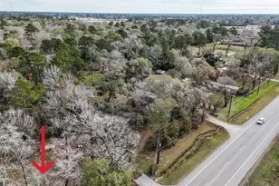 16010 Fm 3083 Rd, Conroe, TX 77302 - Photo 6