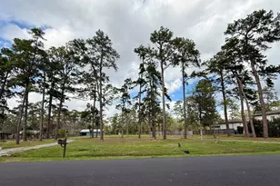 13 Shadow Ln, Houston, TX 77080 - Photo 1