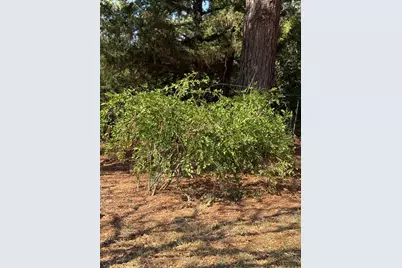 205 Cr 1820, Grapeland, TX 75844 - Photo 28