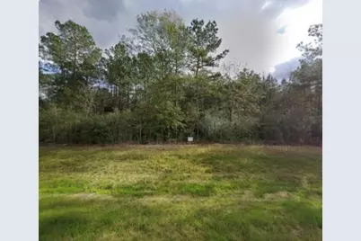 15678 Fire Sky Road, Willis, TX 77378 - Photo 1