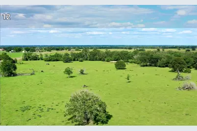 2880 Fm 2158 / Lot 5, Midway, TX 75852 - Photo 6