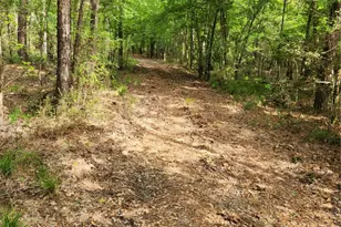 Tbd Ward Rd, Cleveland, TX 77328 - Photo 4