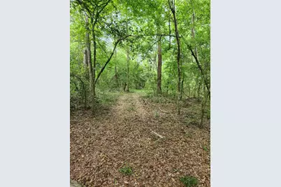 Tbd Ward Road, Cleveland, TX 77328 - Photo 6