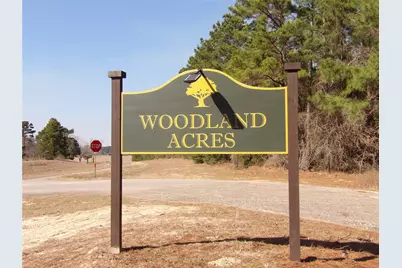 Tbd Lake Shore Drive, Grapeland, TX 75844 - Photo 2