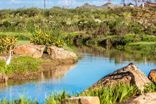 5207 Flat Stone Ln, Richmond, TX 77469 - Photo 22
