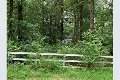 31110 Goldenrod Lane, Magnolia, TX 77354 - Photo 1