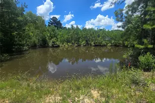 26131 Crown Ranch Blvd, Montgomery, TX 77316 - Photo 1