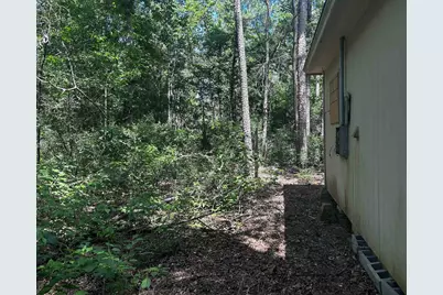 384 Sandy Lane, Ivanhoe, TX 75979 - Photo 6