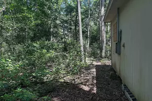 384 Sandy Ln, Ivanhoe, TX 75979 - Photo 6