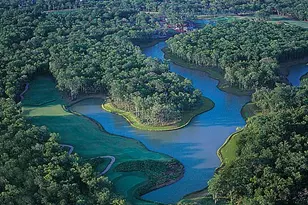 10123 Regal Mist Dr, Missouri City, TX 77459 - Photo 4