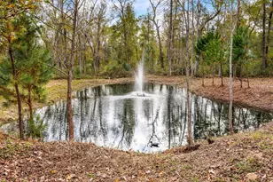 14882 Gingham Rd, Montgomery, TX 77356 - Photo 40