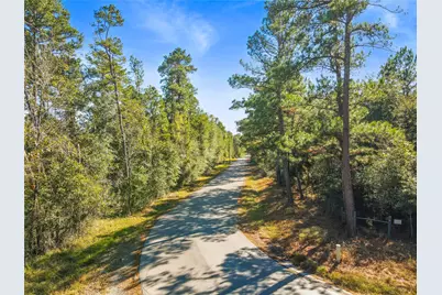Tbd Chandler Lane, Huntsville, TX 77320 - Photo 4