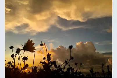 1011 9th St #1, Galveston, TX 77550 - Photo 8