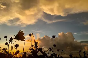 1011 9th St, Galveston, TX 77550 - Photo 8