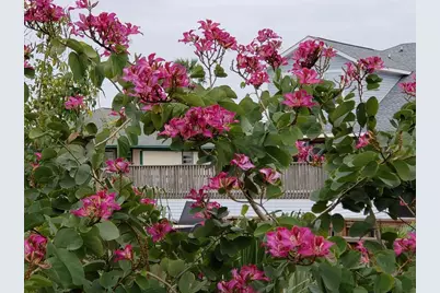 14 S Flamingo Street, La Marque, TX 77568 - Photo 6