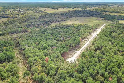 Tract 53 Ranches At Buckhorn Creek, Crockett, TX 75835 - Photo 12