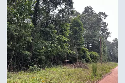 00 Bill Monroe Road, Livingston, TX 77351 - Photo 4