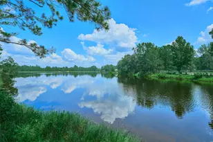 2218 Honea Egypt Rd, Magnolia, TX 77354 - Photo 4