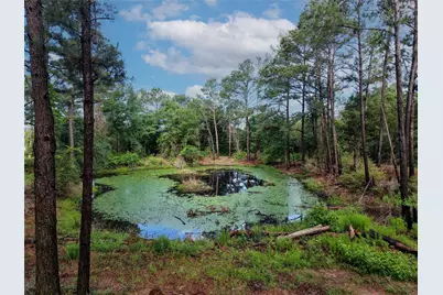 Tbd Highway 90 N, Bedias, TX 77831 - Photo 4
