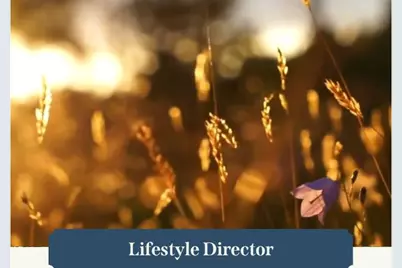 481 Harvest Moon Drive, Katy, TX 77493 - Photo 28